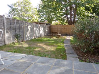 Picture 7